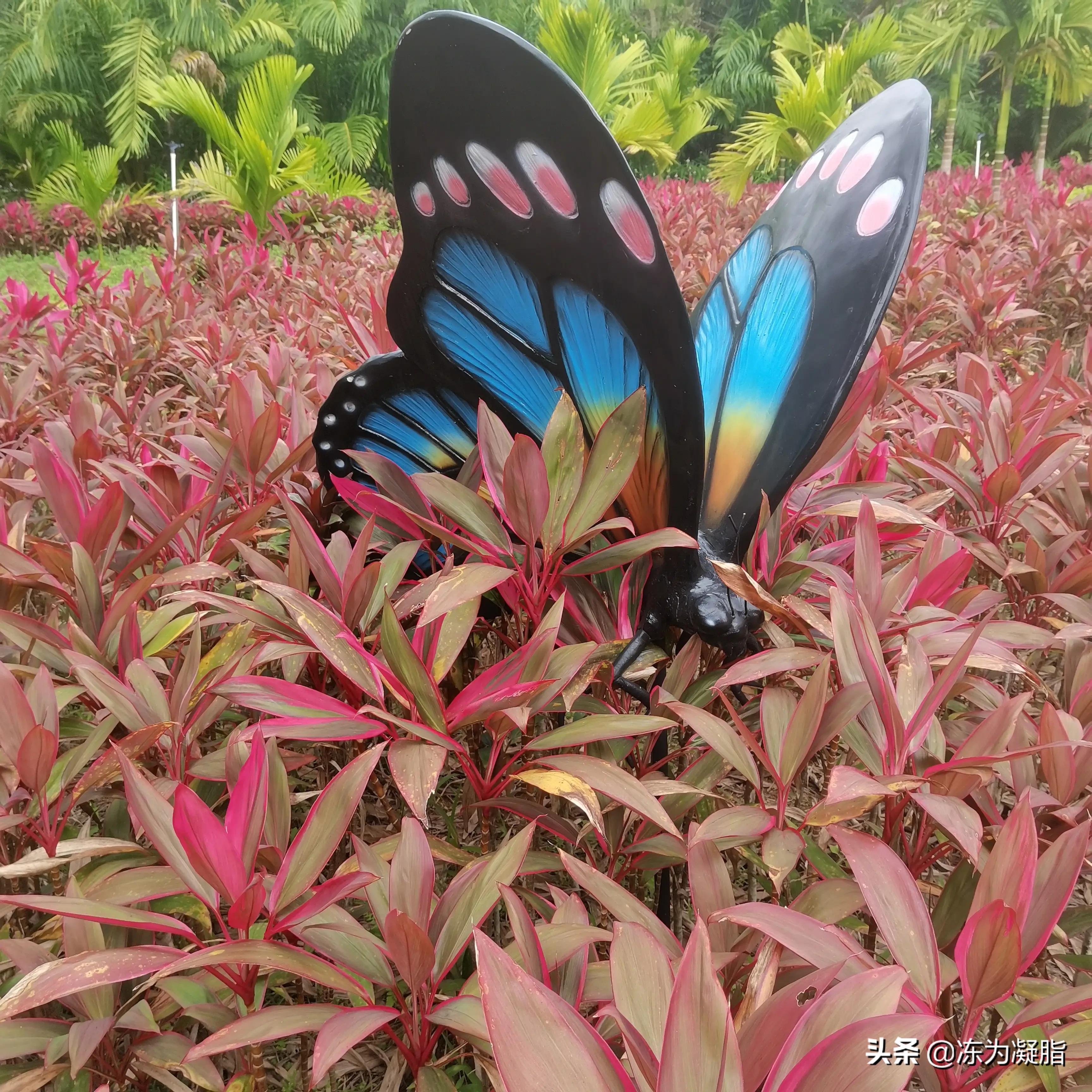 一点都不怪：我赋牙齿以健康使命