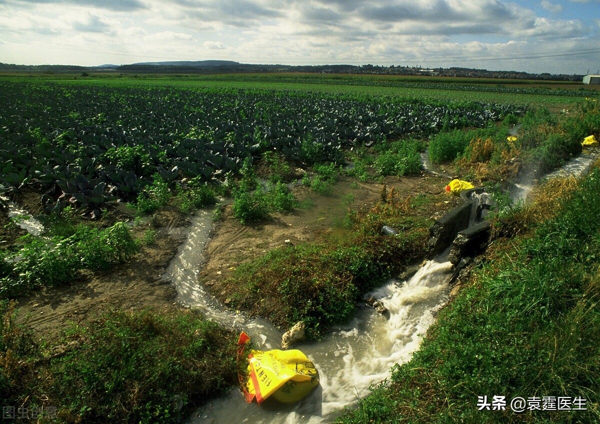 能感觉到身体在退化(几乎所有的疾病起源都在指向一种疾病：衰老)