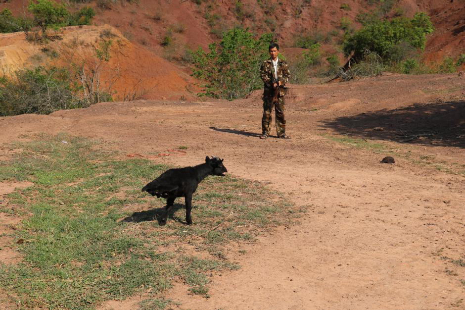 羊为何会直立行走?"山羊人"真的存在吗?