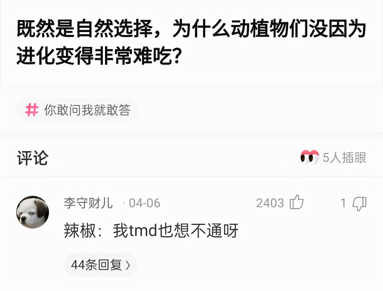 “没有买卖，就没有伤害！”让我以后怎么正视巧克力？哈哈哈