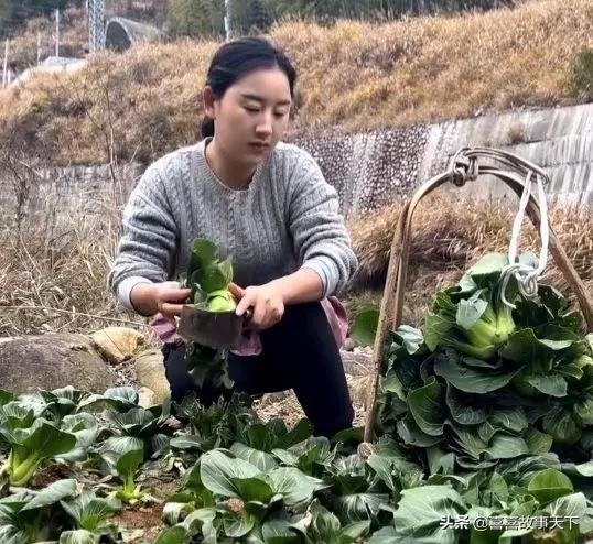 福建35岁妈妈，带女儿回乡种地，靠短视频卖农产品，还带村民致富