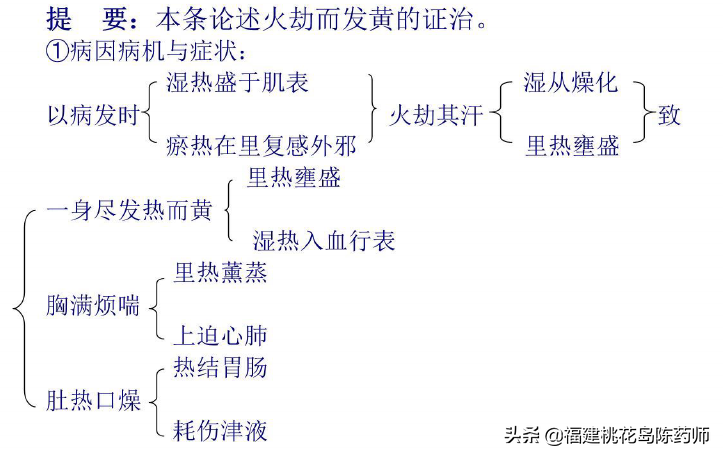 《金匮要略》——黄疸病脉证并治第十五学习要点