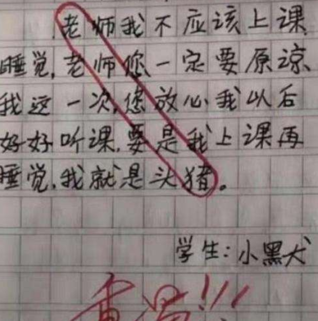 “老师你丑还不让说”，小学生嚣张检讨书走红，老师气得脸都绿了