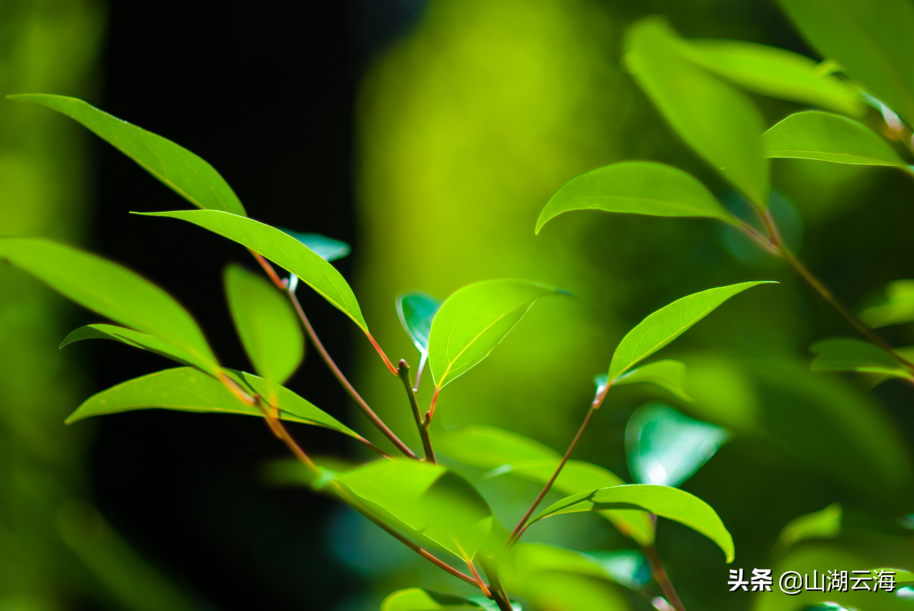 一袭风雨，亦可洗去浮生烦扰