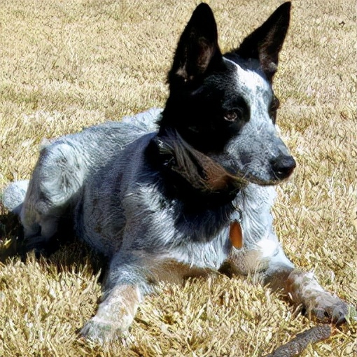 金毛寻回犬 >德牧 >边境牧羊犬 >萨摩耶 >拉布拉多。