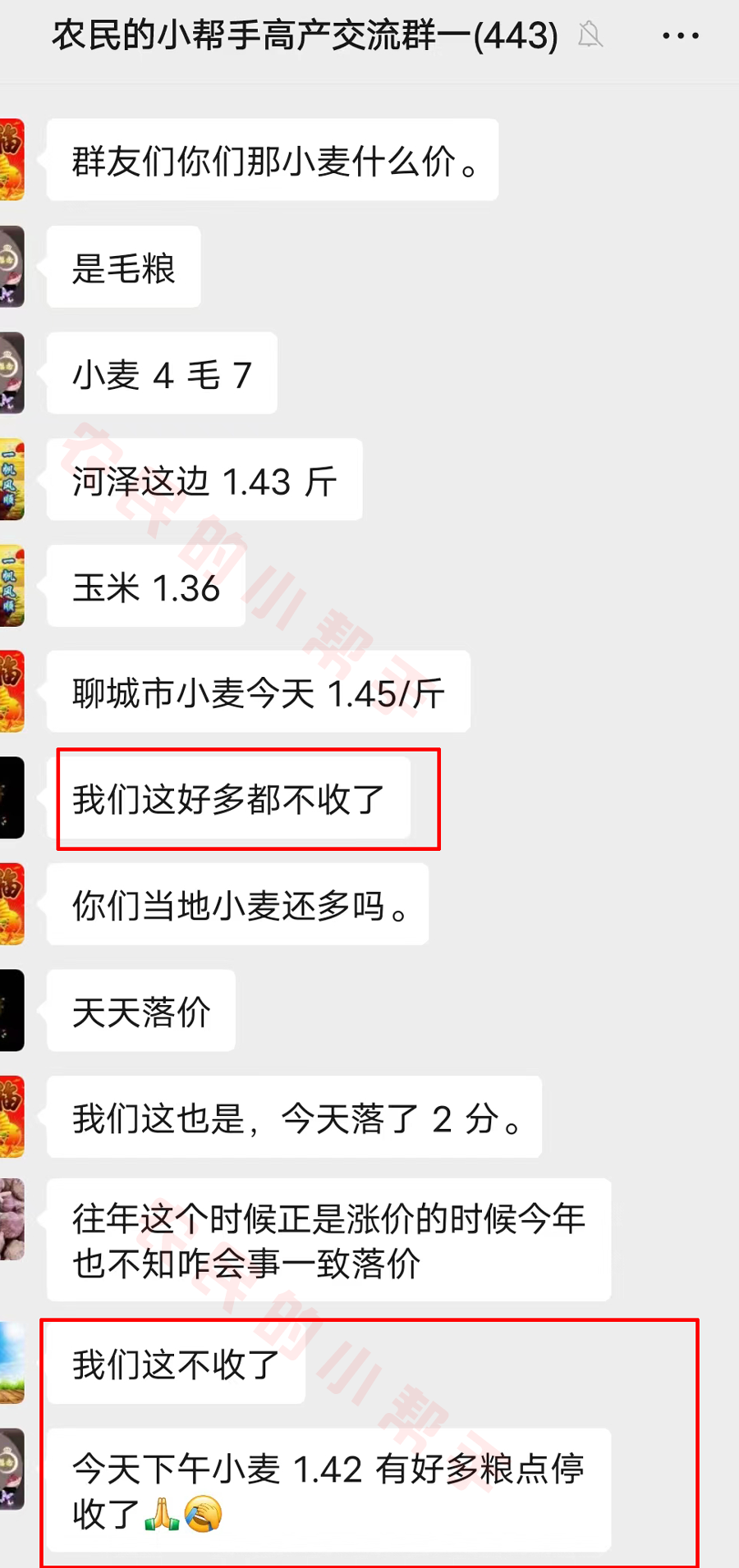 今日全國小麥收購價格「今日安陽小麥收購價格表」