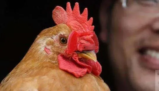 爆火13年，比手工耿还离谱！央视最会“玩”的节目，不只会搞笑