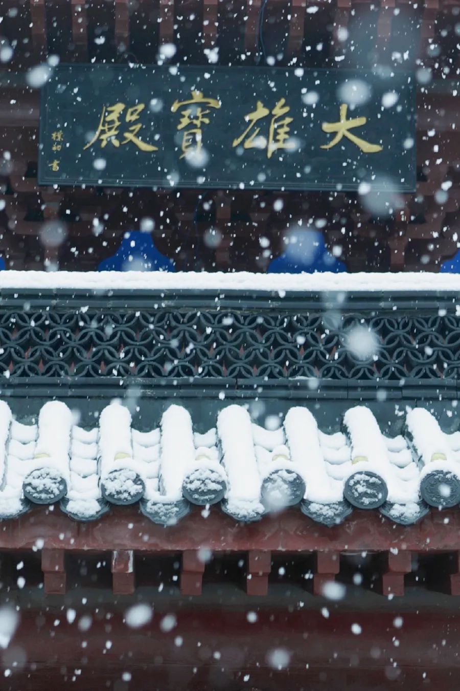 人生过半，不如痛快一点