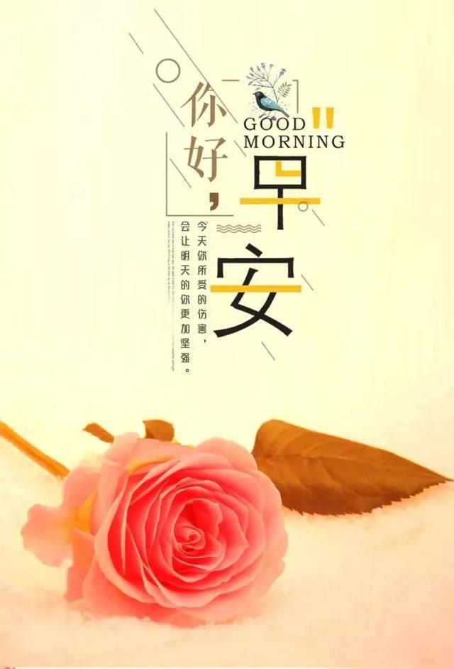 亲爱的朋友早安,你好!空气如此清新,花儿缤纷美丽.