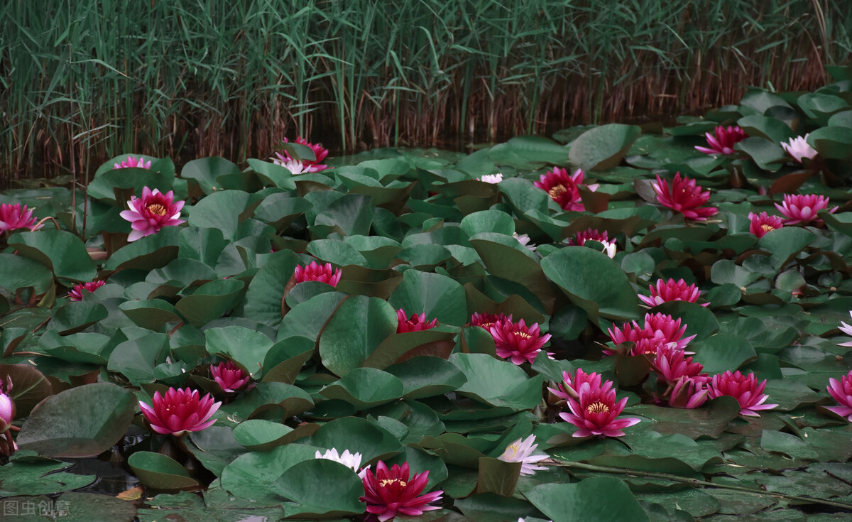 河北科技大学2022年硕士研究生招生拟接收调剂专业信息