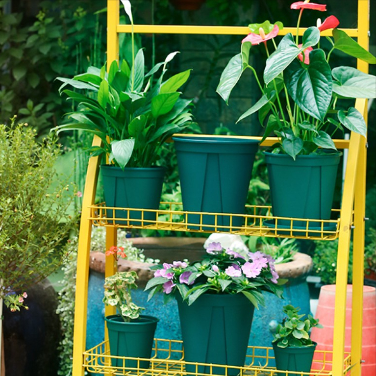 花卉 市场上 销量最大的 6类花盆 你知道它们的 用途 吗 天天看点