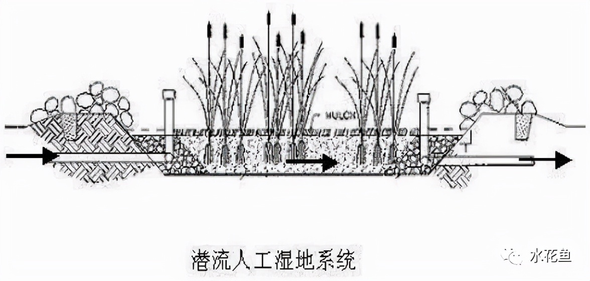 水产养殖尾水处理——多级人工湿地净水技术