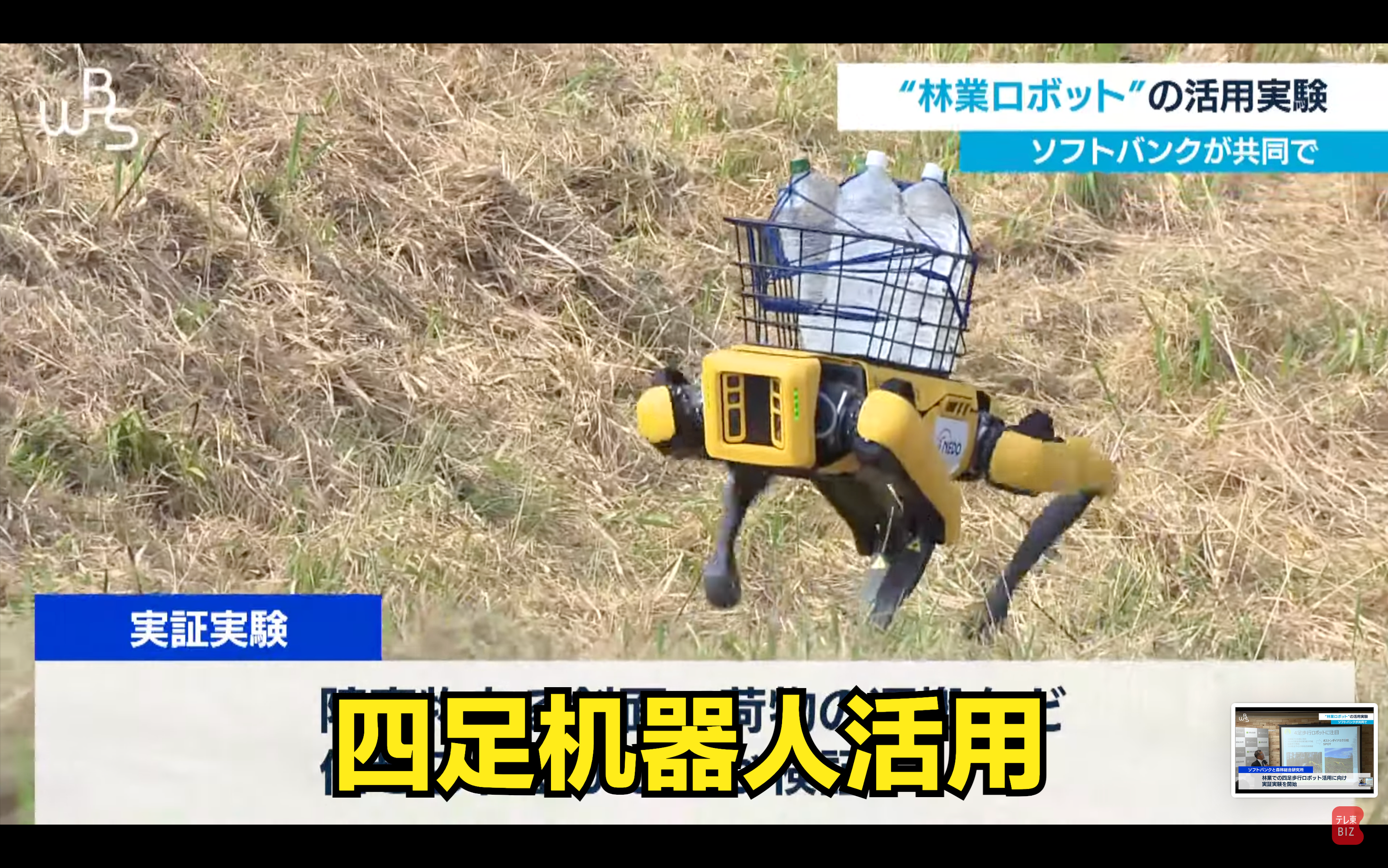 日本四足机器人搬运工上线测试