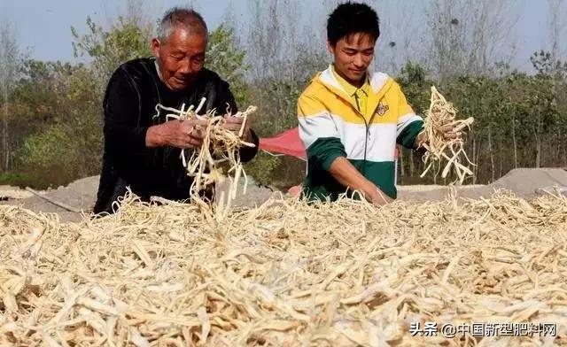 农村这些作物,明年种植,赚钱多,利润很可观,价格一直在涨