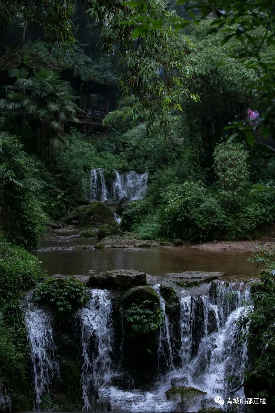 都江堰的六月！烟雨入古堰，山水云雾起......成都出发1h抵达的23℃避暑胜地！这个夏天一定要这样玩～