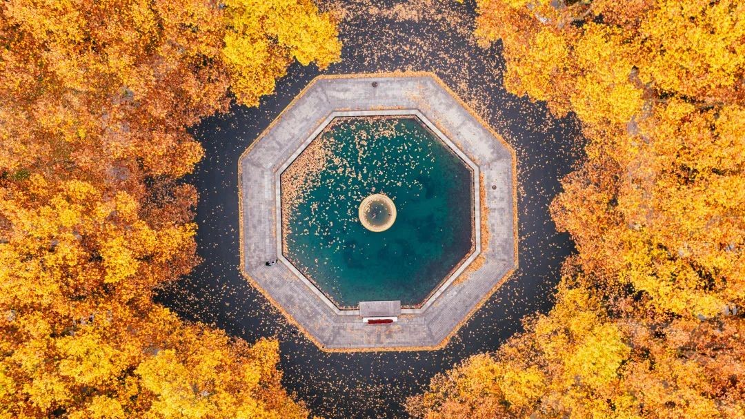 启天时、聚地利、应人和！东南大学：承大国气象，开双甲荣光！