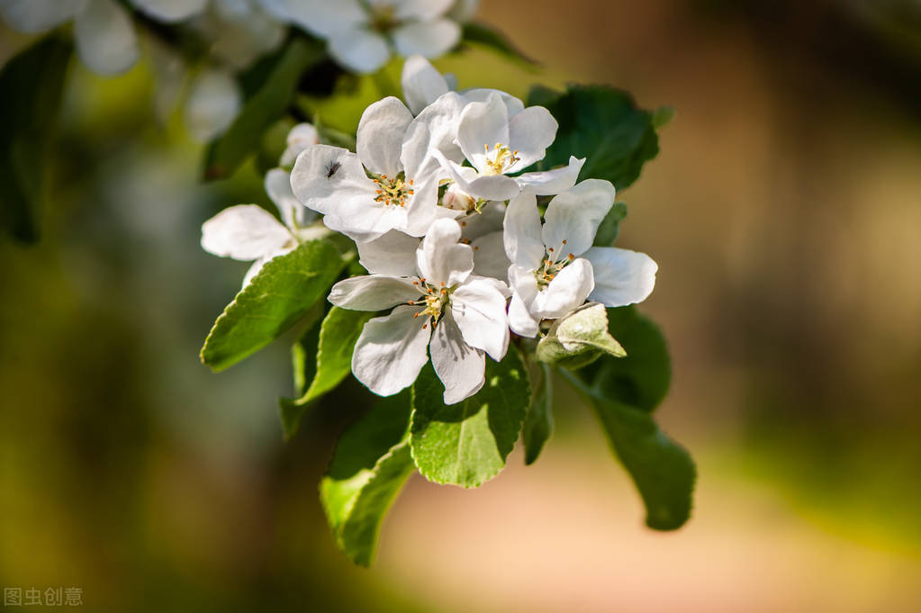 写一封情书给远方的爱人：好想你，一诺地久天长，一念地老天荒