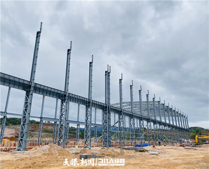 从“单打独斗”到“集群发展”︱一块新能源电池材料的20年