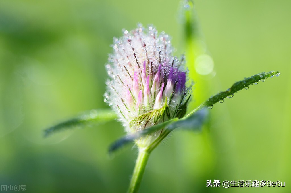 人活一世 草木一秋 生死有命 富贵在天