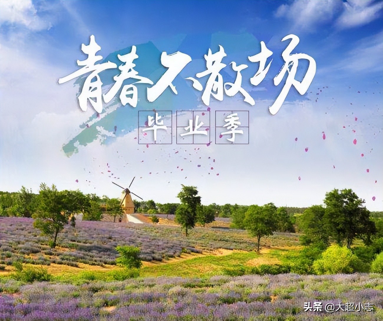 大学毕业祝福语八个字（2022年小学初中高中大学毕业暖心祝福语文案精选）