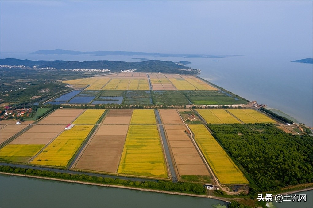 河南省2022年實際種糧農(nóng)民一次性補貼資金多少？附補貼標準