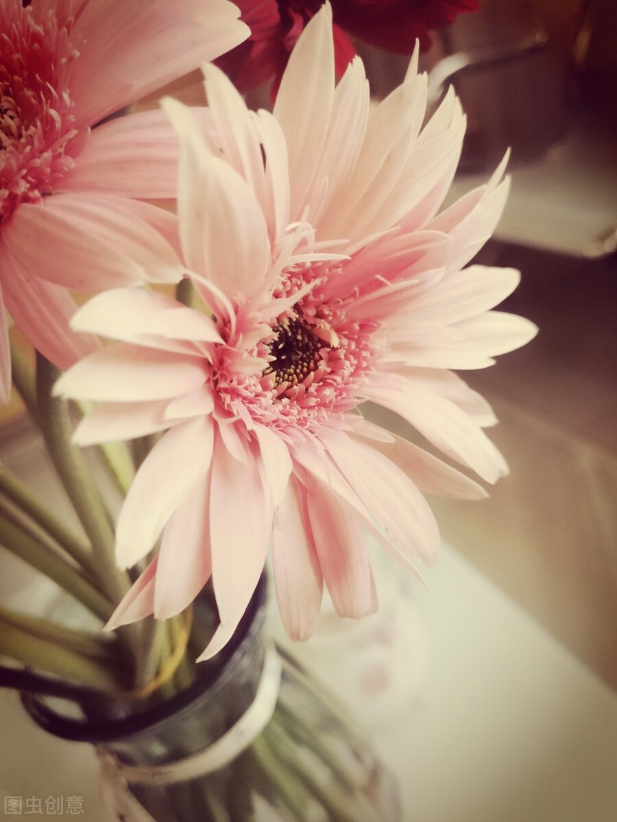 「慢热型恋人」的 5 个特质！比起热烈浪漫更需要安全感