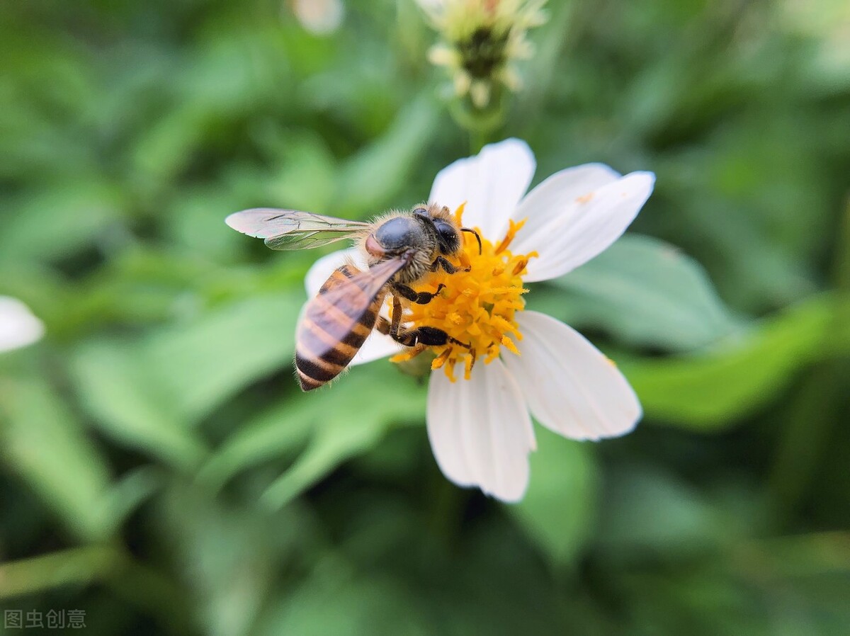 深情催泪情感美文：曾经的爱恋，曾经的悲欢