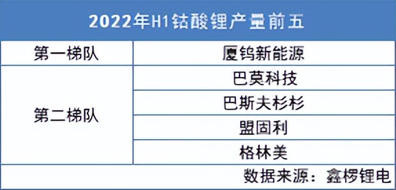 激进扩张VS稳中求变——2022年上半年国内正极材料市场盘点