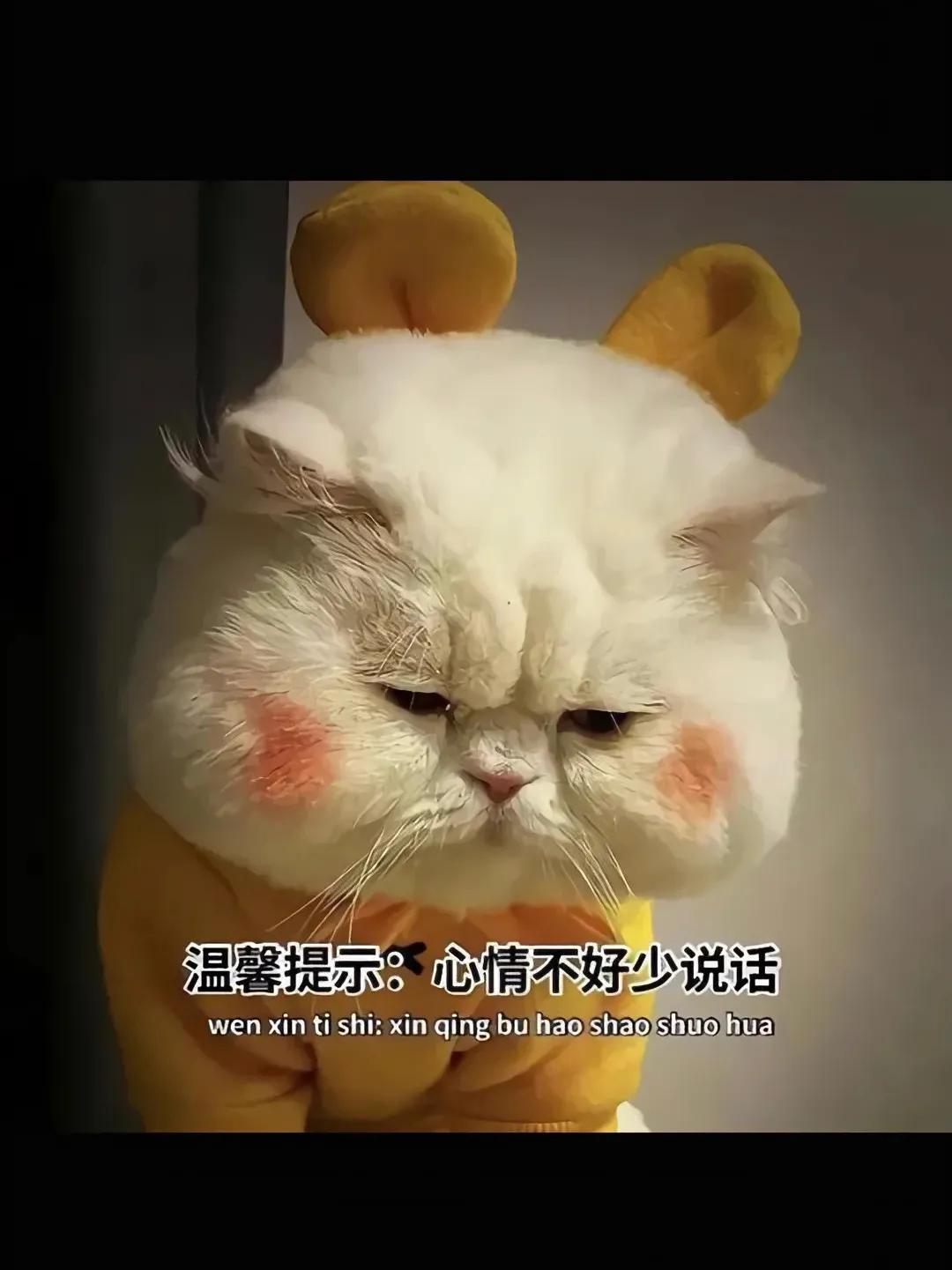 抖音很火的句子｜时间见证了所有的，喜欢和遗憾。