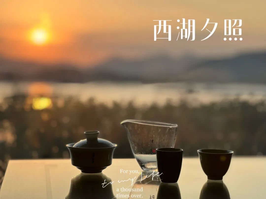 既然大紅袍、鐵觀音都是烏龍茶，那么烏龍茶到底是紅茶還是綠茶？