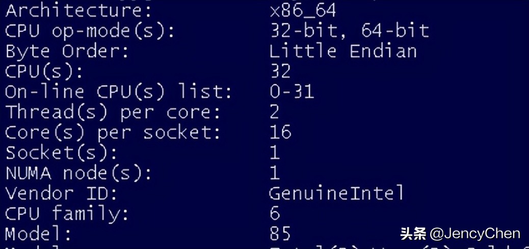 Oracle日常维护内容