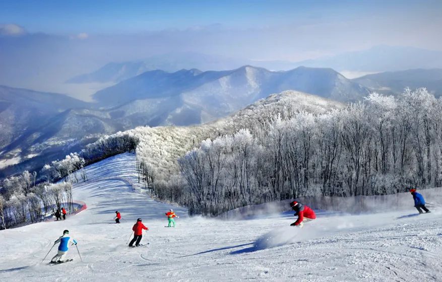 奥运会体育项目图片有哪些(盛夏，到奥林匹克塔看中国冰雪运动摄影大展丨作品集)