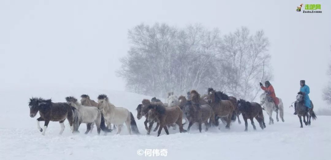 有什么地方好玩的景点（佛山有什么地方好玩的景点）-第10张图片-昕阳网