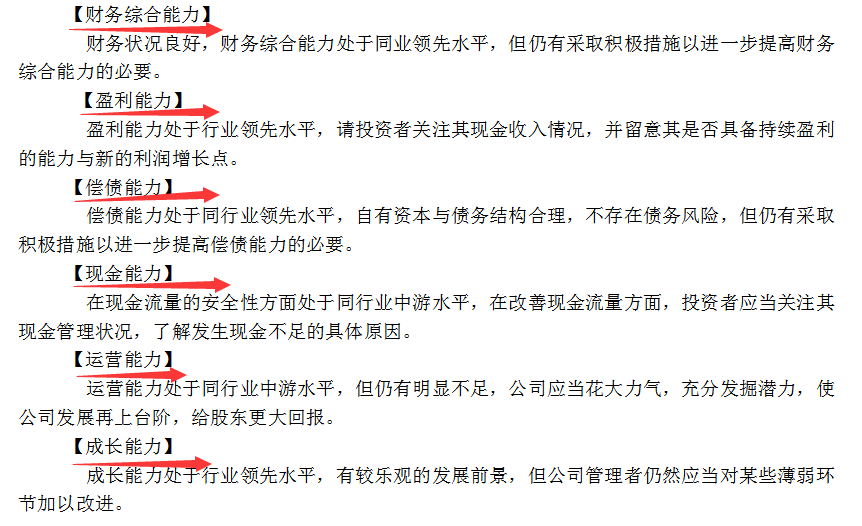 详细版企业年度财务分析报告