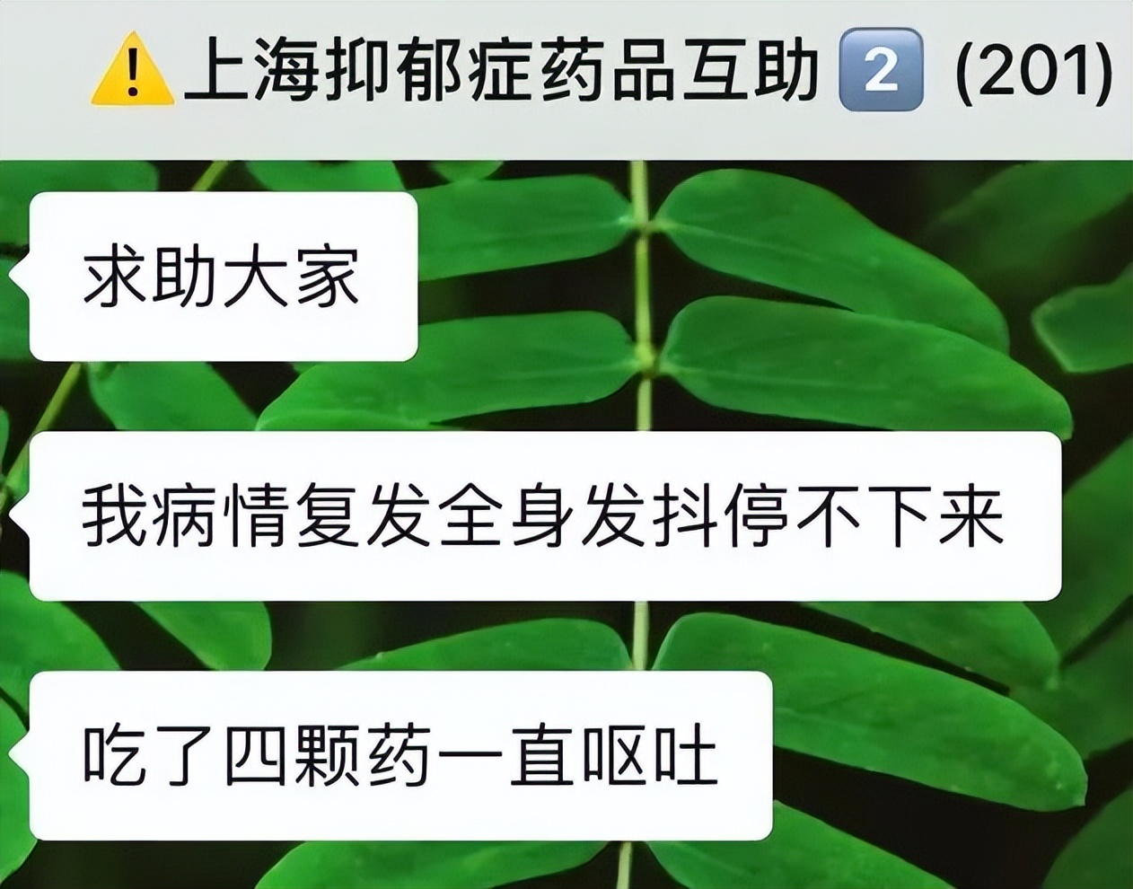 上海700名抑郁症患者找药的群，在四月最后一天解散了