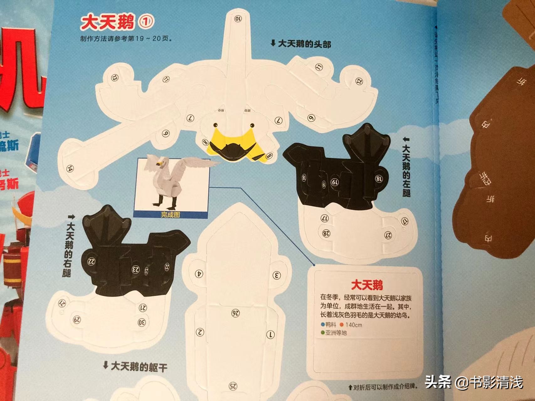 一本纸上博物馆，让孩子动手又动脑，制作自己的纸上模型