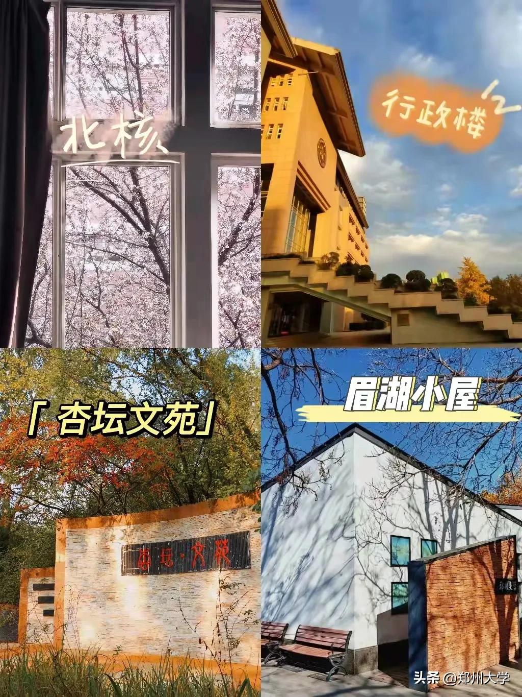 “格式化”看郑大