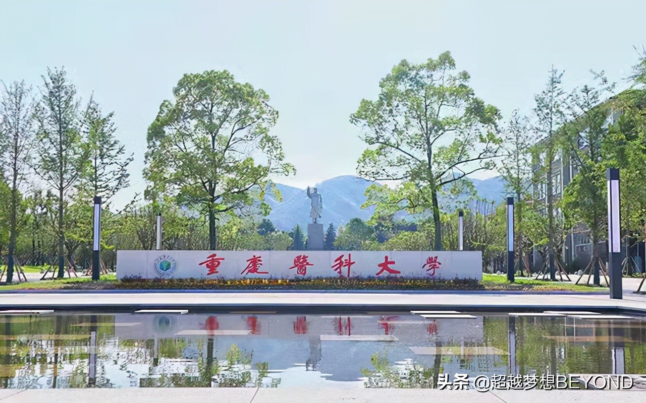 成都医学院官网分数线（重庆医科大学2021年各专业录取分数和位次情况）