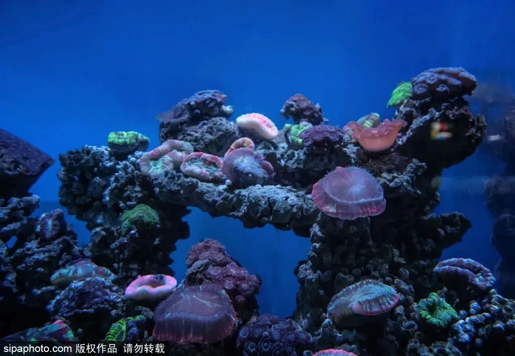 天津有什么好玩的地方（周末去哪 - 早春漫游津沽，去這些景點邂逅不一樣的天津）