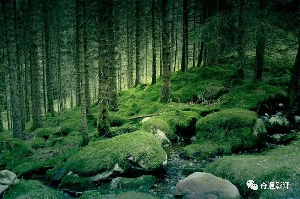 挪威的森林电影好看吗
