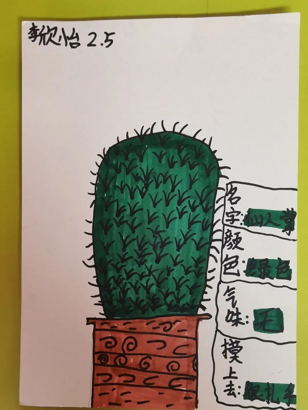 我爱我 从探索生命开始｜成都市双流区九江小学开展一系列活动