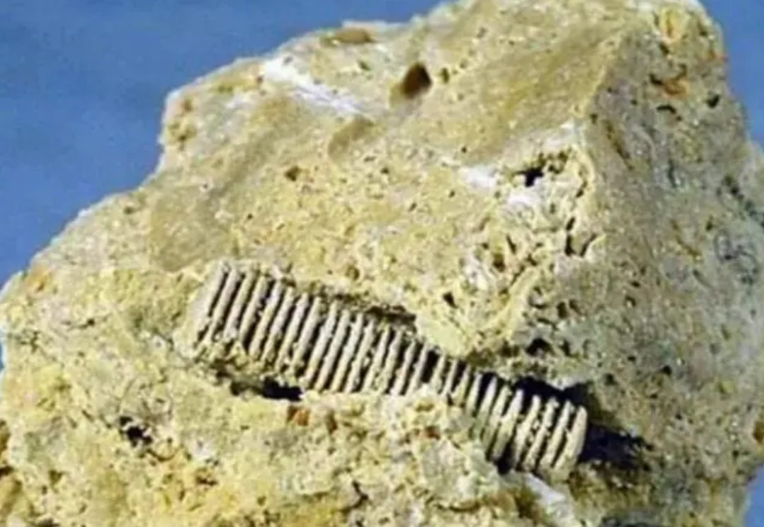 3����ǰ��һ�š���˿������Ƕ��ʯ���У��ҿ�һ��ʷǰ���۷�ʱ��