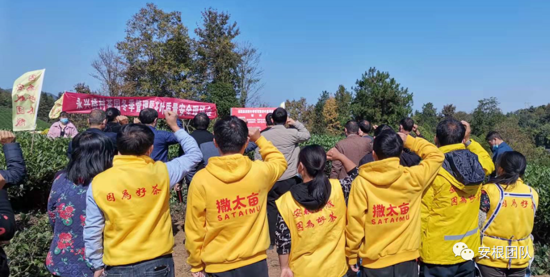 种植合作社对茶农绿色生产行为的影响