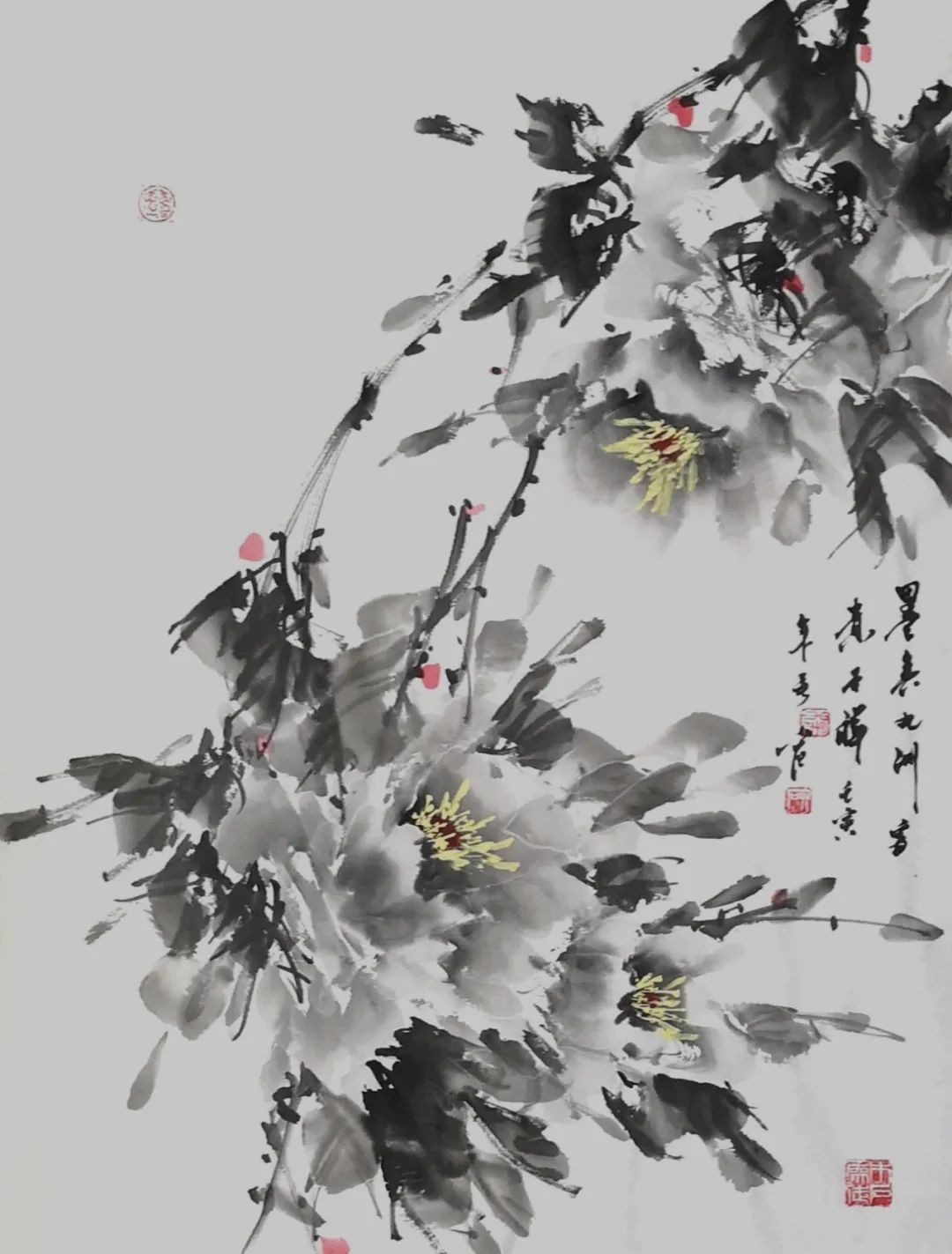 杨磊磊 国画牡丹作品赏析