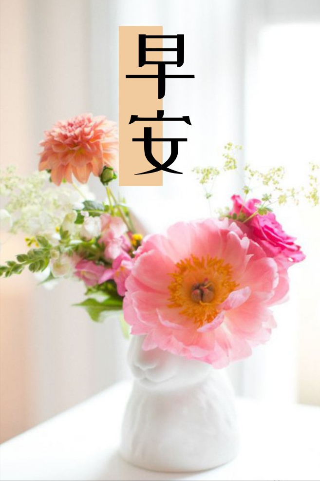 早安语录 愿时光不负自己,愿青春不负努力