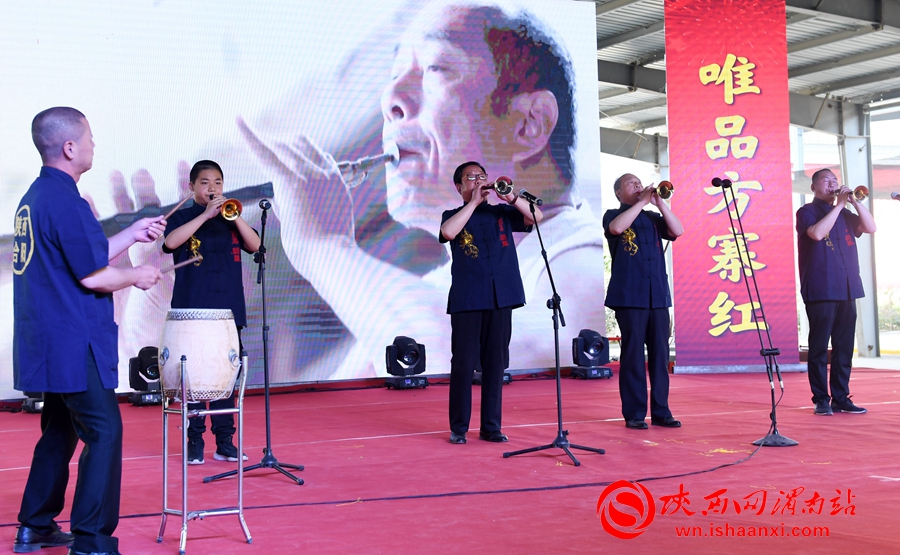 櫻桃千萬家 唯品方寨紅 合陽第五屆“方寨紅”櫻桃推介會舉辦（高清組圖）