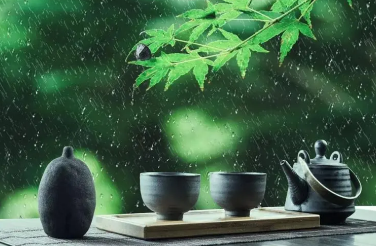 适合下雨天喝茶时发朋友圈的句子,格外有意境
