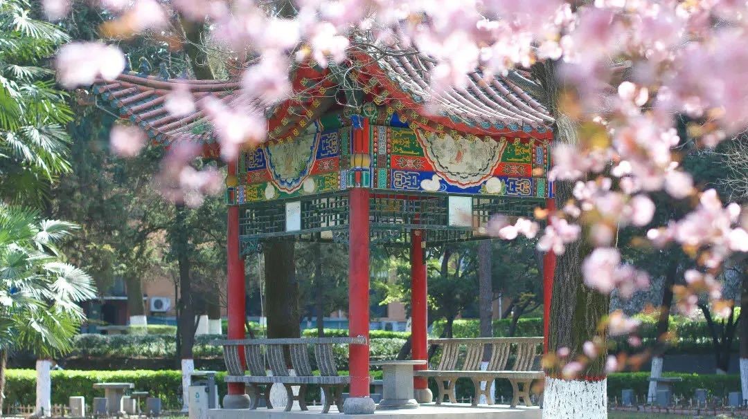 创“全国第一”，成果被航空公司推广应用！陕西这所高校“火”了！