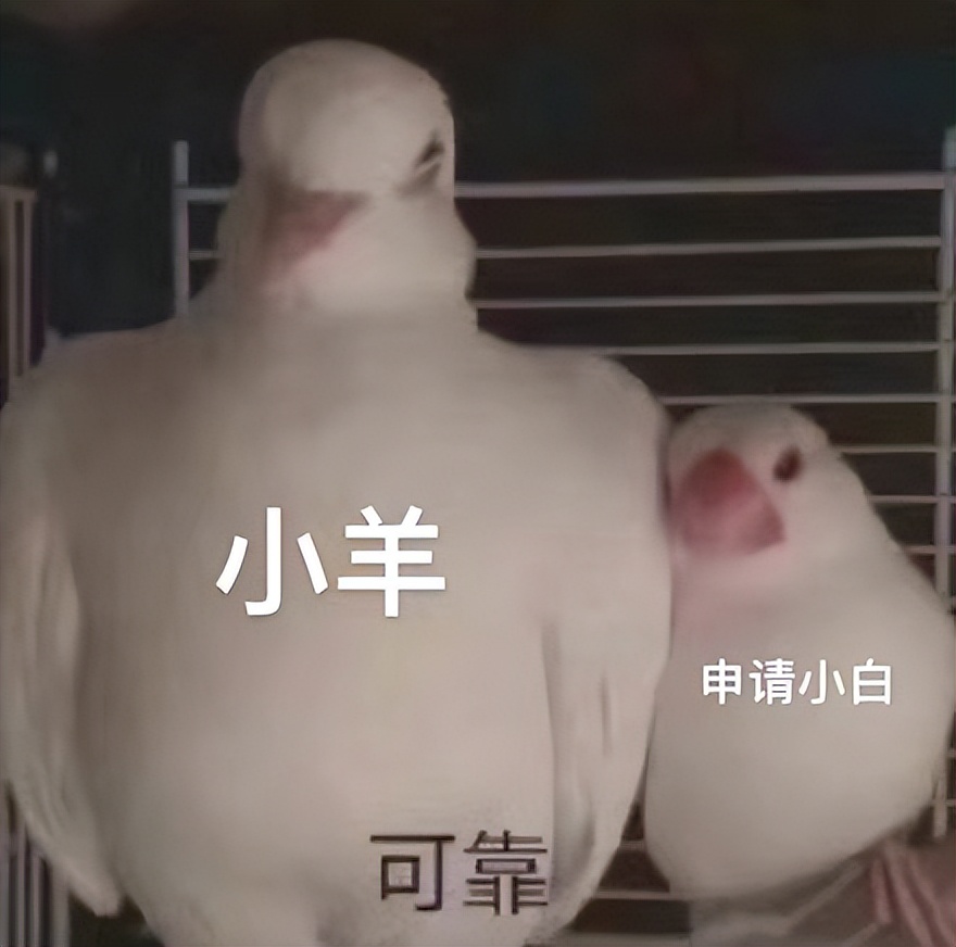 即将恢复面授？赴港留学必备证件盘点及办理攻略