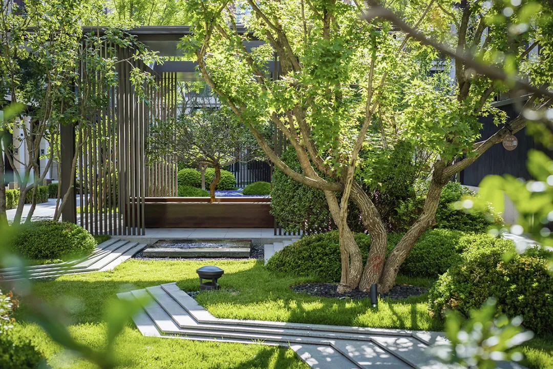 用心的植物搭配，超级美